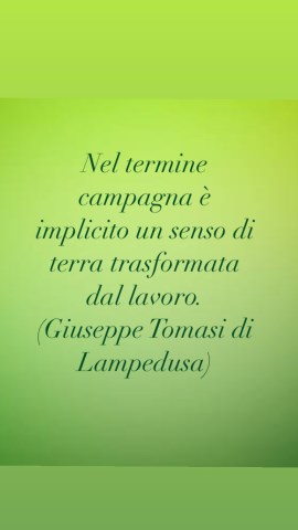 Gastronomia Pasticio Biancu
